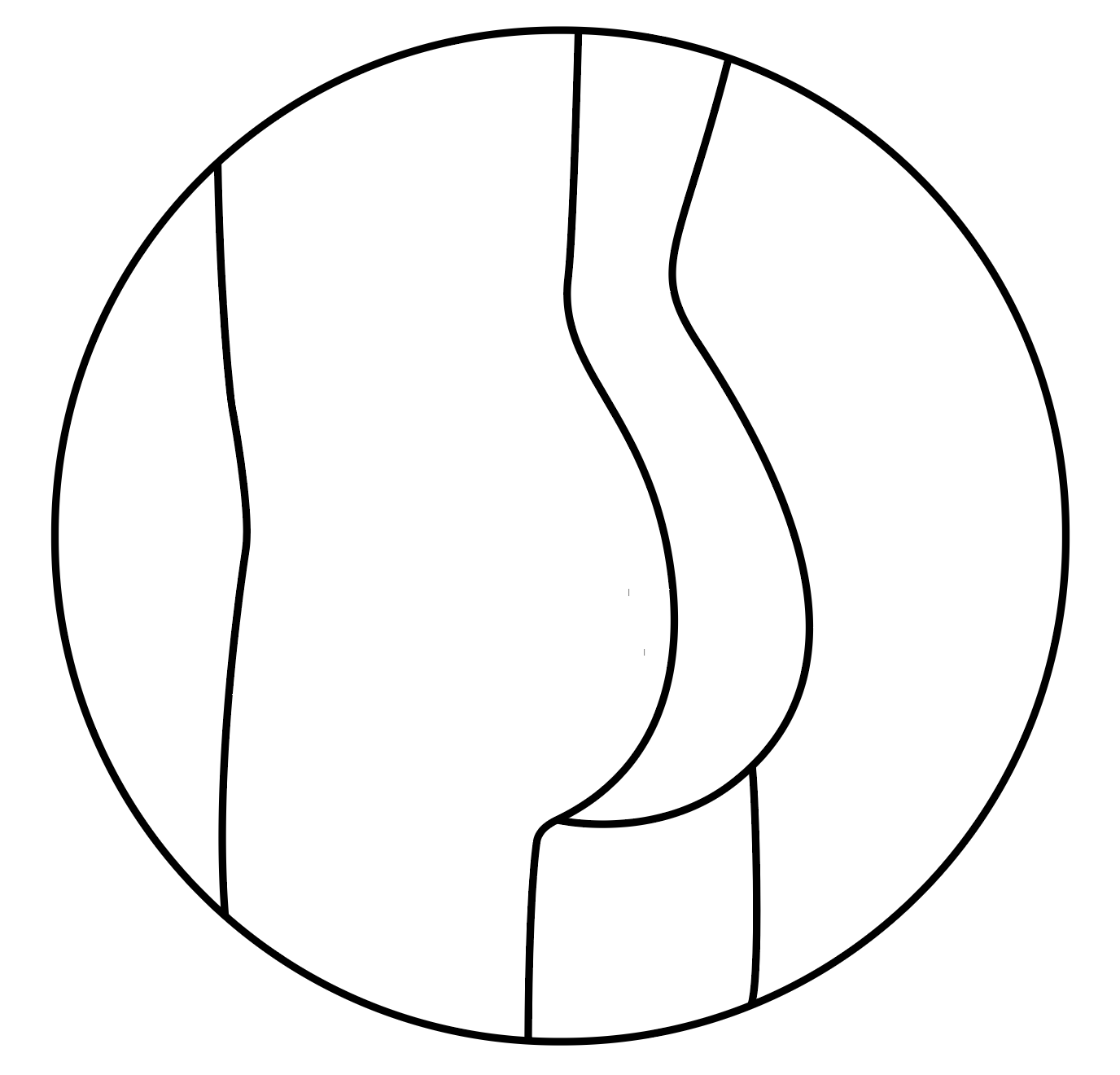 Vitrail Fesses personnalisable